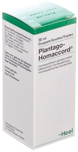 Plantago-homaccord Gutt 30ml Heel