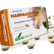 Soria Soricapsule Single N24-s Harpagophyt.proc.60
