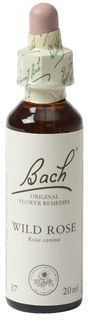 Bach Flower Remedie 37 Wild Rose 20ml | Désintérêt