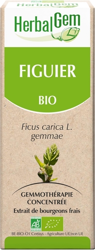 Herbalgem Figuier Macérat 50ml | Produits Bio