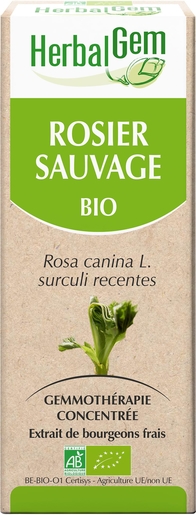 Herbalgem Rosier Sauvage Macérat 50ml | Produits Bio