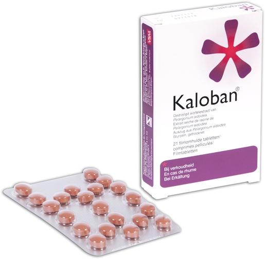 Kaloban VSM 21 Comprimés | Rhume