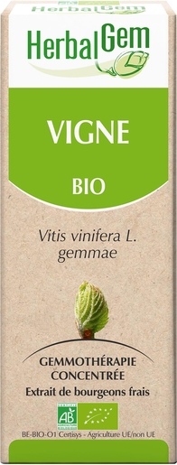 Herbalgem Vigne Macérat 15ml | Transit - Digestion