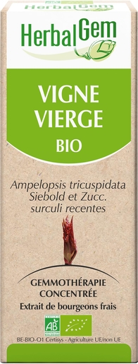 Herbalgem Vigne Vierge Macérat 15ml | Articulations - Muscles - Os