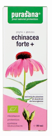 Purasana Echinacea Forte+ 50ml | Forme - Energie