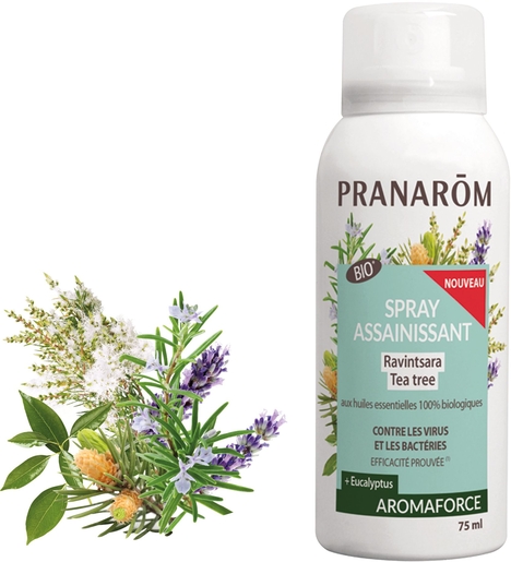 Pranarôm Aromaforce Spray Assainissant Ravintsara Tea-Tree Bio 75ml | Assainissant