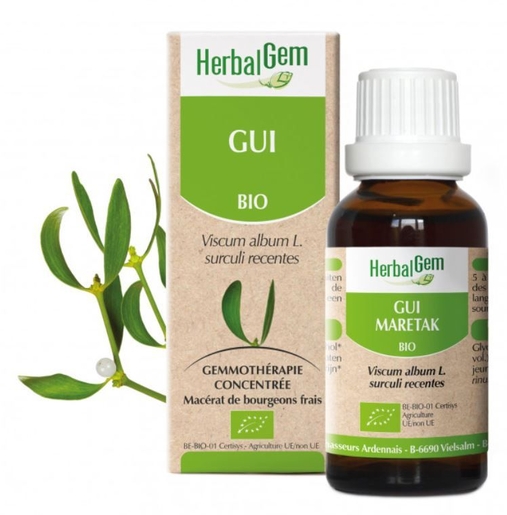 Herbalgem Gui Bio Gouttes 30ml | Macérats-mère unitaires
