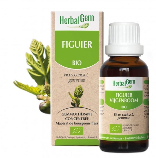 Herbalgem Figuier Bio 30ml | Détente - Sommeil