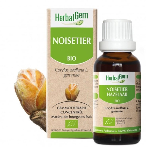 Herbalgem Noisetier Bio 30ml | Respiration - Nez
