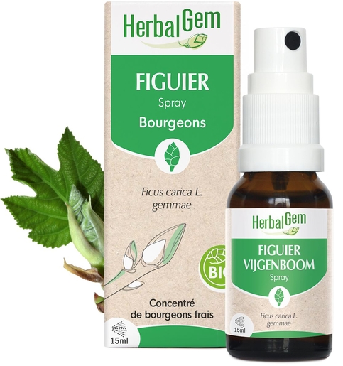 Herbalgem Figuier Bio Spray 15ml | Détente - Sommeil