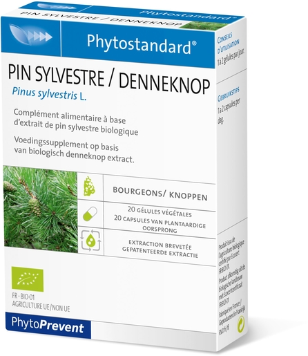 Phytostandard Pin Sylvestre 20 Capsules | Mal de gorge - Toux