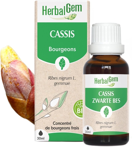 Herbalgem Cassis Bio Spray 15ml | Forme - Energie