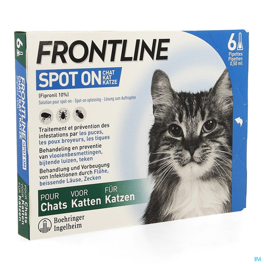 Frontline Spot On Chat 10% Pipet 6x0,50ml | Médicaments pour chat