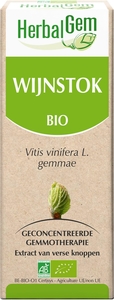 Herbalgem Vigne Macérat 15ml