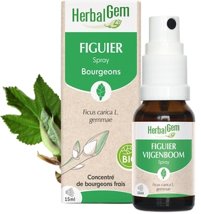 Herbalgem Figuier Bio Spray 15ml