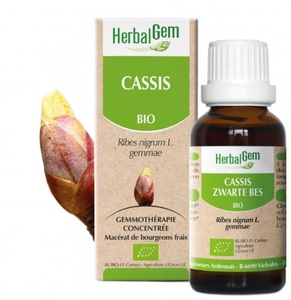 Herbalgem Cassis Bio 30ml